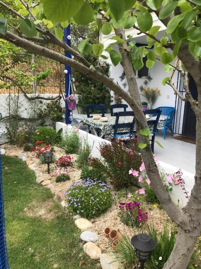 Relaxing And Comfortable Studio Near Falasarna Beaches Plátanos Zewnętrze zdjęcie